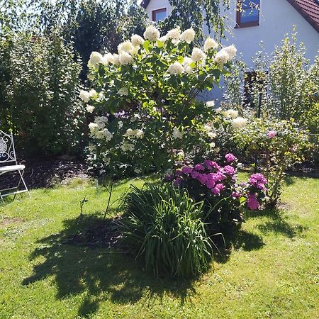 Waldwinkel Appartement Treuchtlingen Buitenkant foto