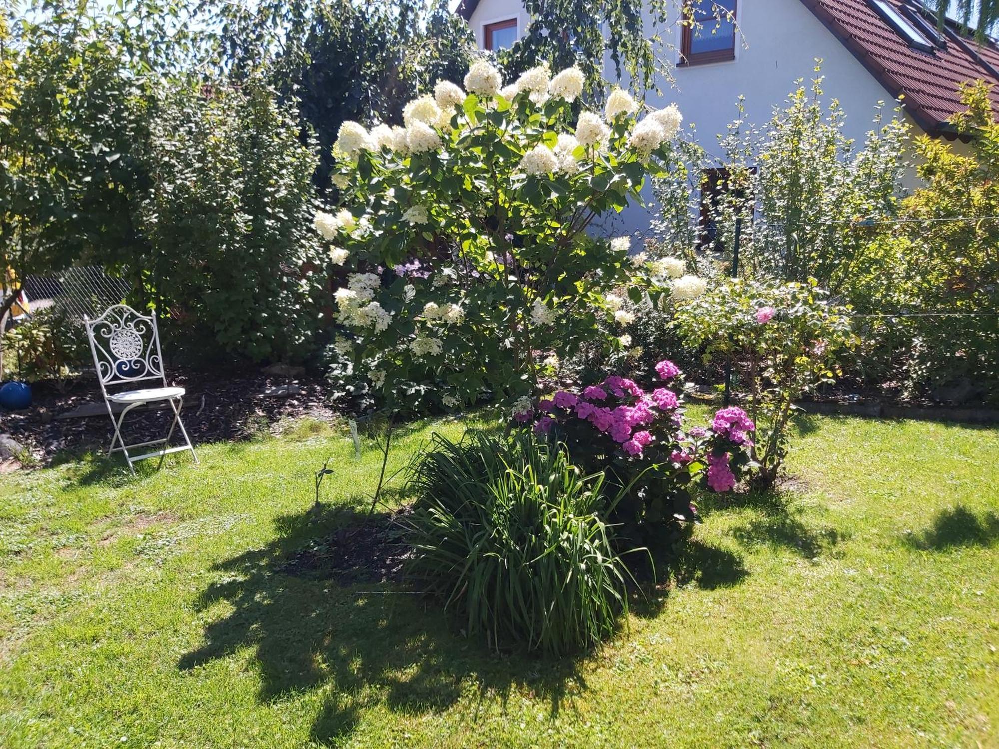 Waldwinkel Appartement Treuchtlingen Buitenkant foto